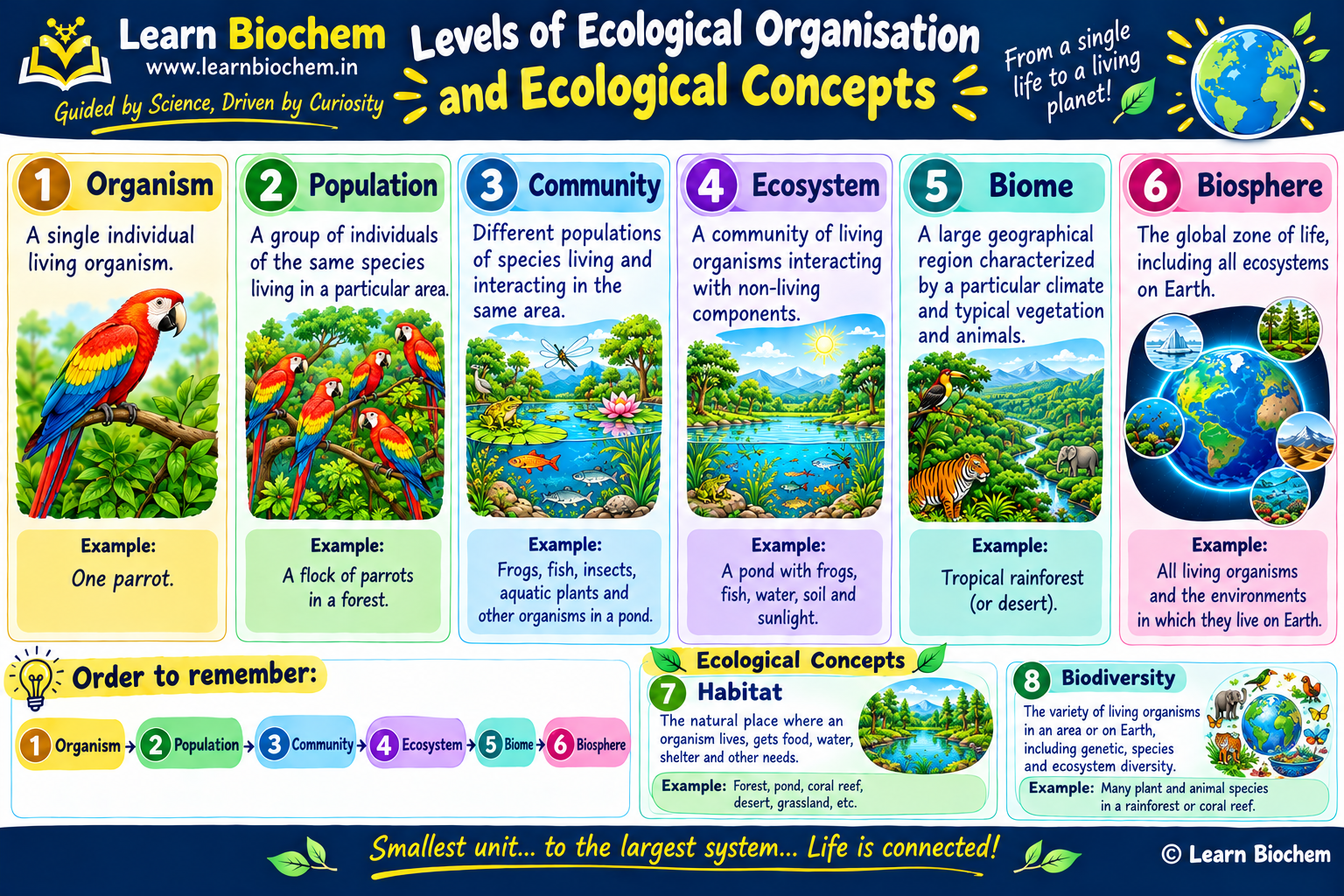 The Living World - Levels of Ecological Organization and Ecological Concepts